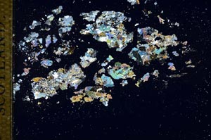 Cross Polarized, S26348