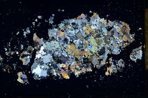 Cross Polarized, S26349