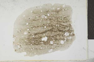 Plane Polarized, S26352