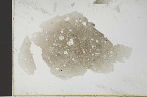 Plane Polarized, S26353