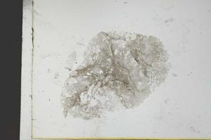 Plane Polarized, S26359