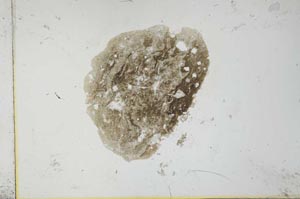 Plane Polarized, S26362