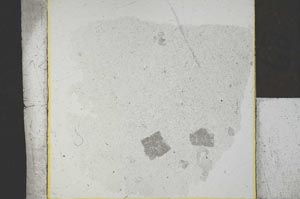 Plane Polarized, S26377