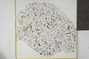 Plane Polarized, S26379