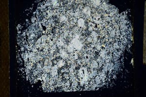 Cross Polarized, S26381