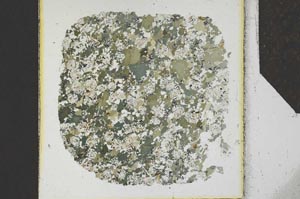 Plane Polarized, S26386