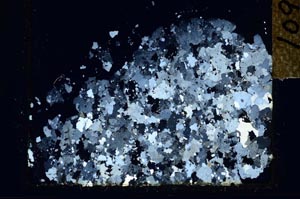 Cross Polarized, S26391