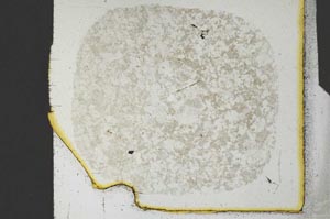 Plane Polarized, S26393