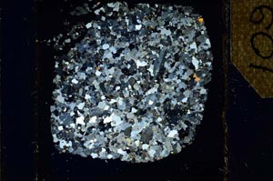 Cross Polarized, S26394