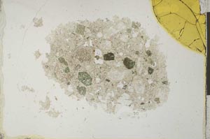 Plane Polarized, S26397