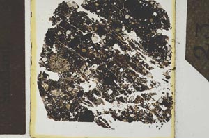 Plane Polarized, S26403