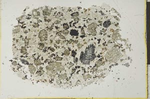 Plane Polarized, S26404