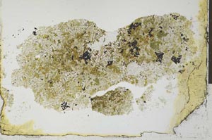 Plane Polarized, S26443