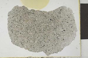 Plane Polarized, S26447