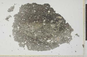 Plane Polarized, S26449