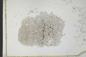 Plane Polarized, S26454