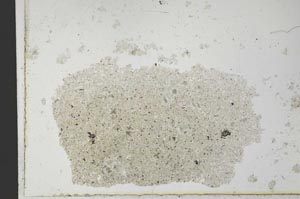 Plane Polarized, S26467