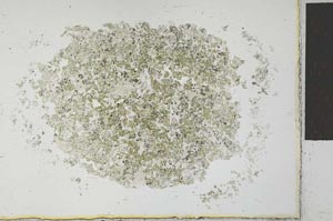 Plane Polarized, S26474
