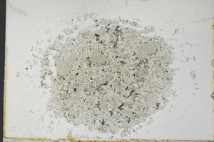 Plane Polarized, S26475