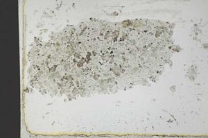 Plane Polarized, S26476