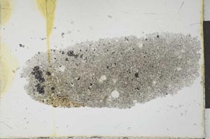 Plane Polarized, S26480