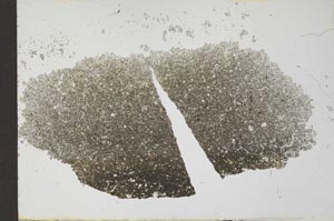 Plane Polarized, S26481