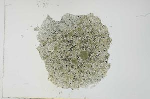 Plane Polarized, S26487