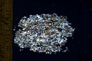 Cross Polarized, S26564