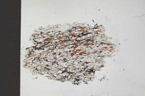 Plane Polarized, S26564