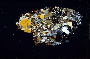 Cross Polarized, S26565