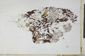 Plane Polarized, S26565