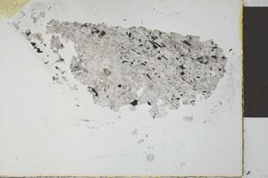 Plane Polarized, S26570