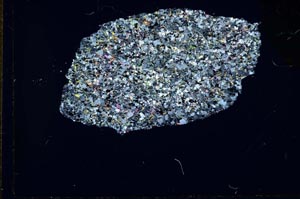 Cross Polarized, S26572