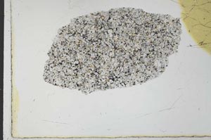 Plane Polarized, S26572