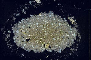 Cross Polarized, S26581