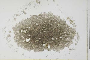 Plane Polarized, S26581