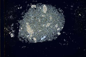 Cross Polarized, S26585