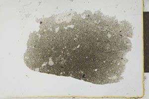 Plane Polarized, S26599