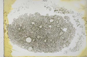 Plane Polarized, S26607