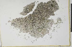 Plane Polarized, S26609