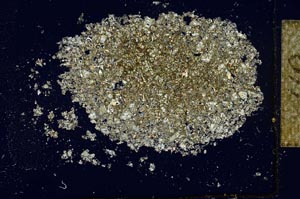 Cross Polarized, S26610