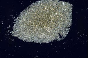 Cross Polarized, S26614