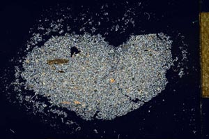 Cross Polarized, S26617