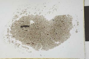 Plane Polarized, S26617