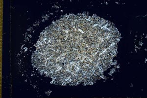 Cross Polarized, S26619