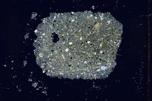 Cross Polarized, S26620