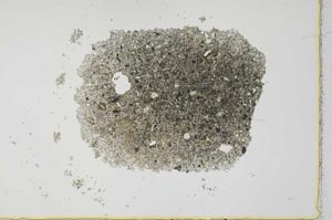 Plane Polarized, S26620