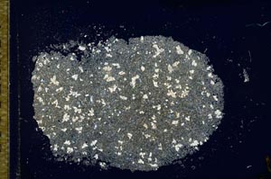 Cross Polarized, S26621