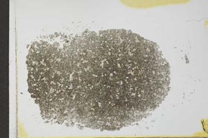 Plane Polarized, S26621