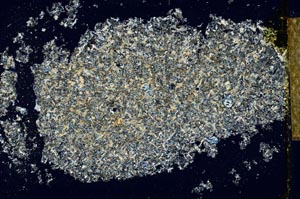 Cross Polarized, S26622